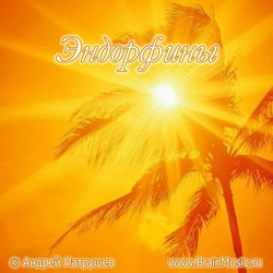 Гормоны радости - Эндорфины - Патрушев (2016)_0.jpg